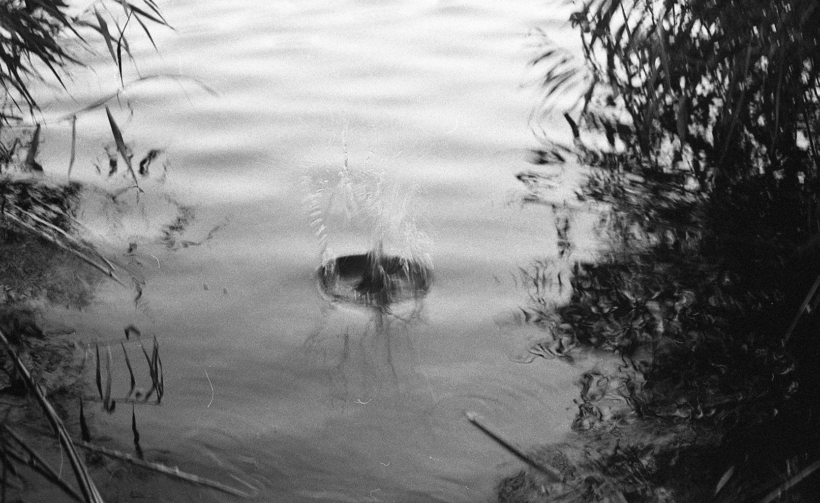 Helm photographic archive, photograph 1