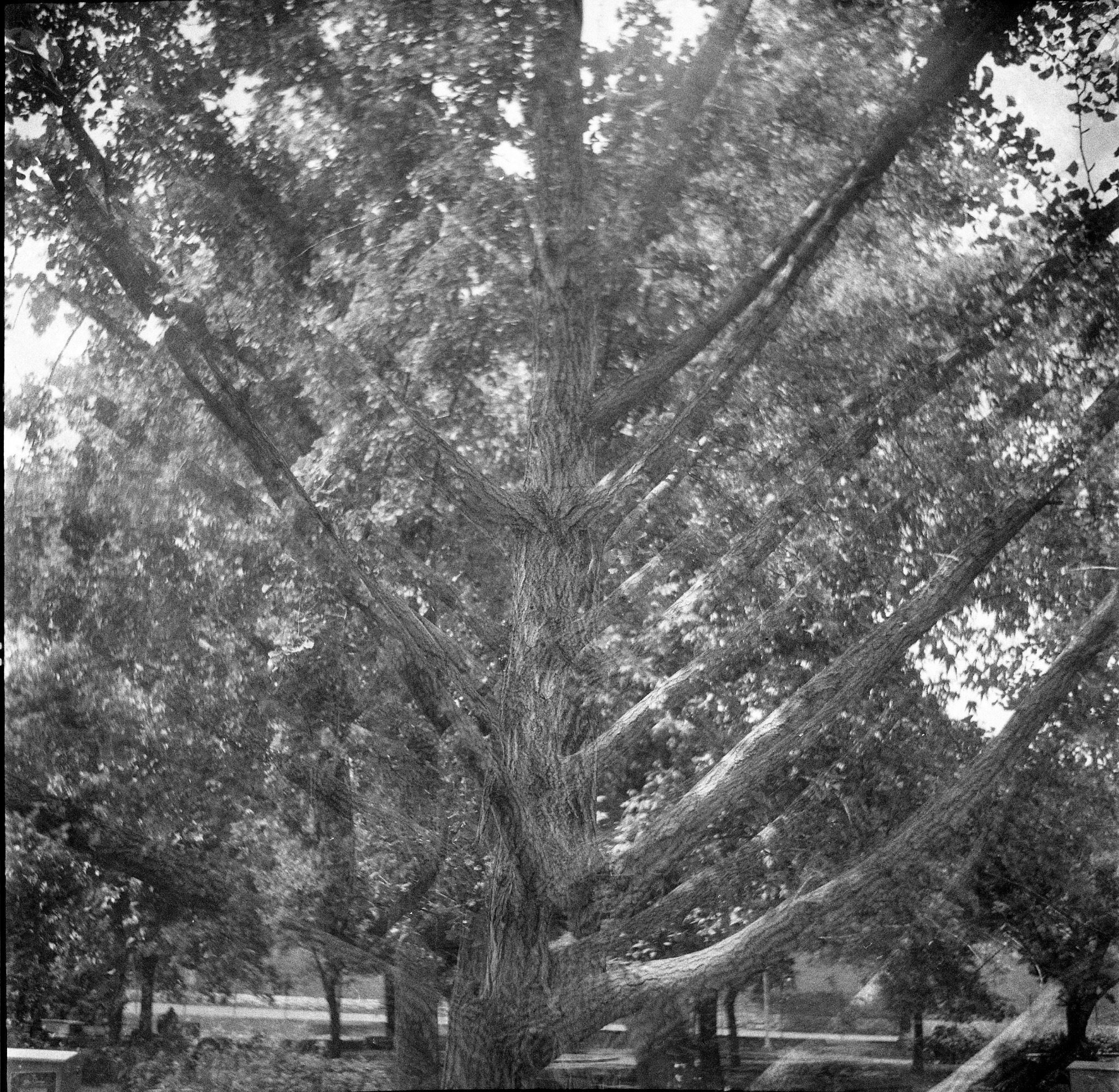 Helm photographic archive, photograph 4