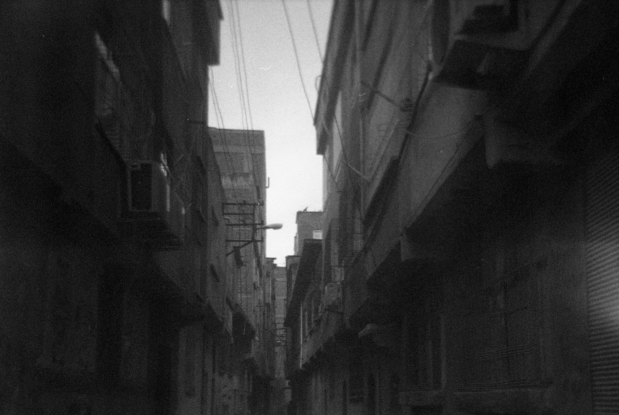 Helm photographic archive, photograph 7