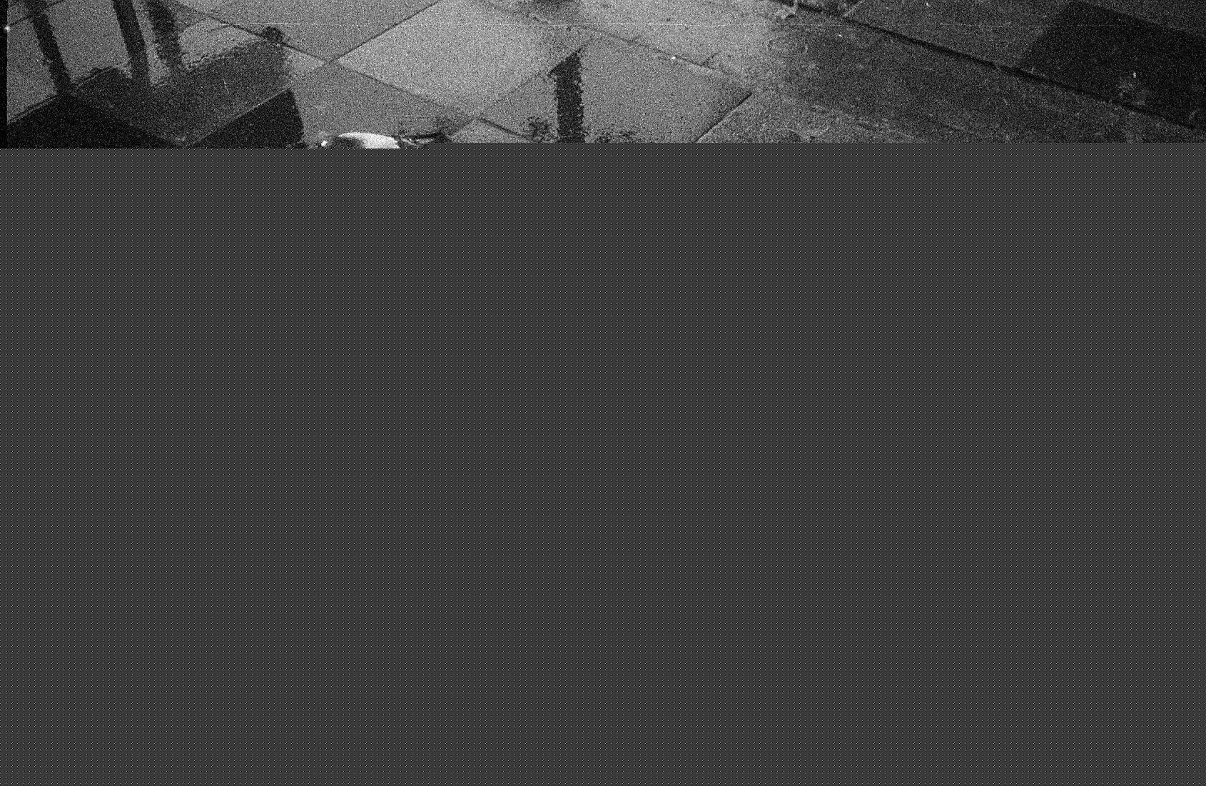 Helm photographic archive, photograph 11
