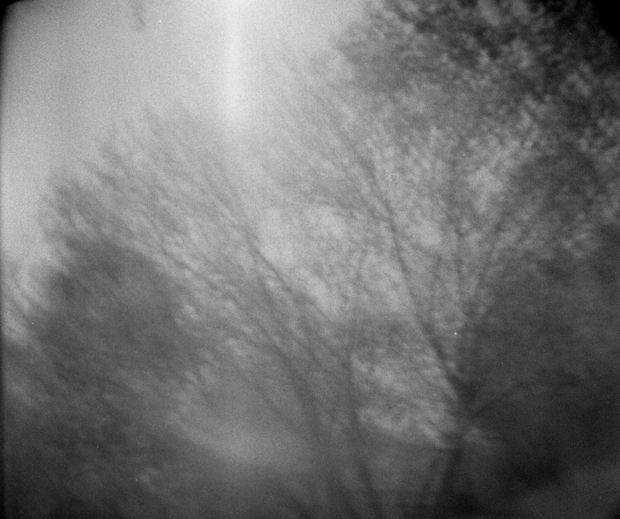 Helm photographic archive, photograph 18