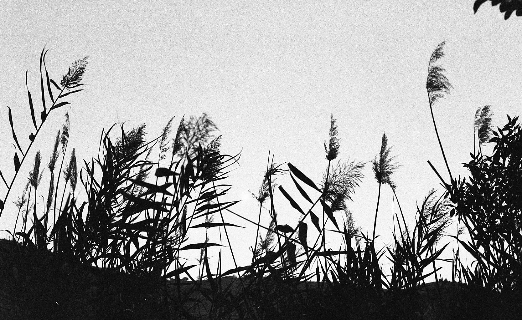 Photograph accompanying the track