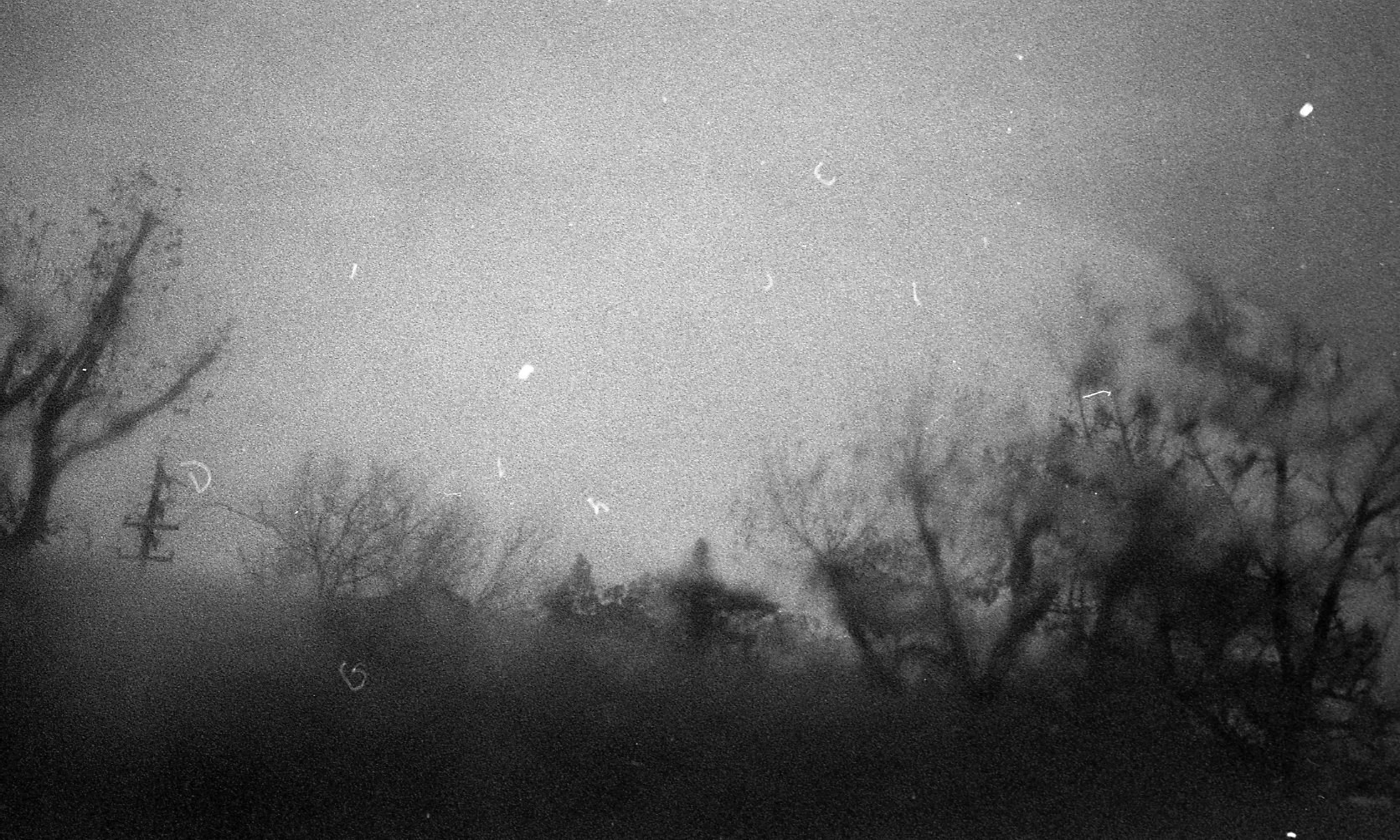 Photographic study accompanying Abasom